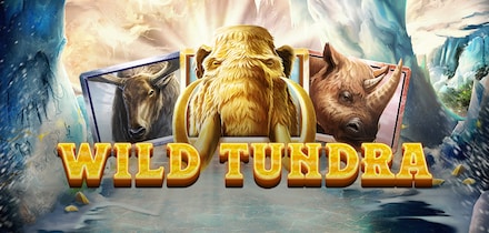 Wild Tundra