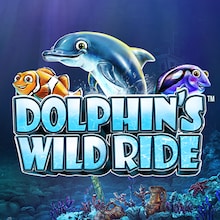 Dolphin's Wild Ride