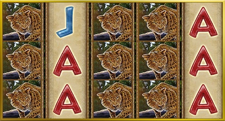 Amazon's Wonders screenshot