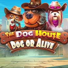 The Dog House   Dog or Alive
