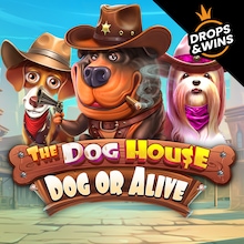 The Dog House - Dog or Alive™