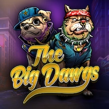 The Big Dawgs