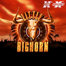 Little Bighorn