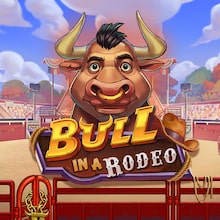 Bull in a Rodeo