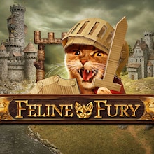 Feline Fury