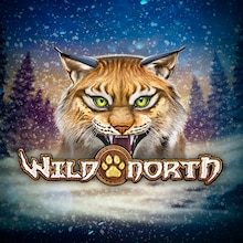Wild North