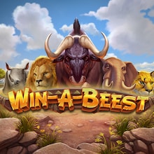 Win A Beest