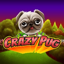 Crazy Pug